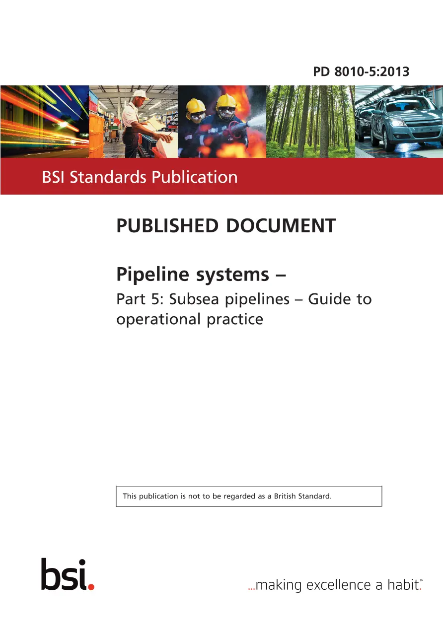 BS PD 8010-5:2013