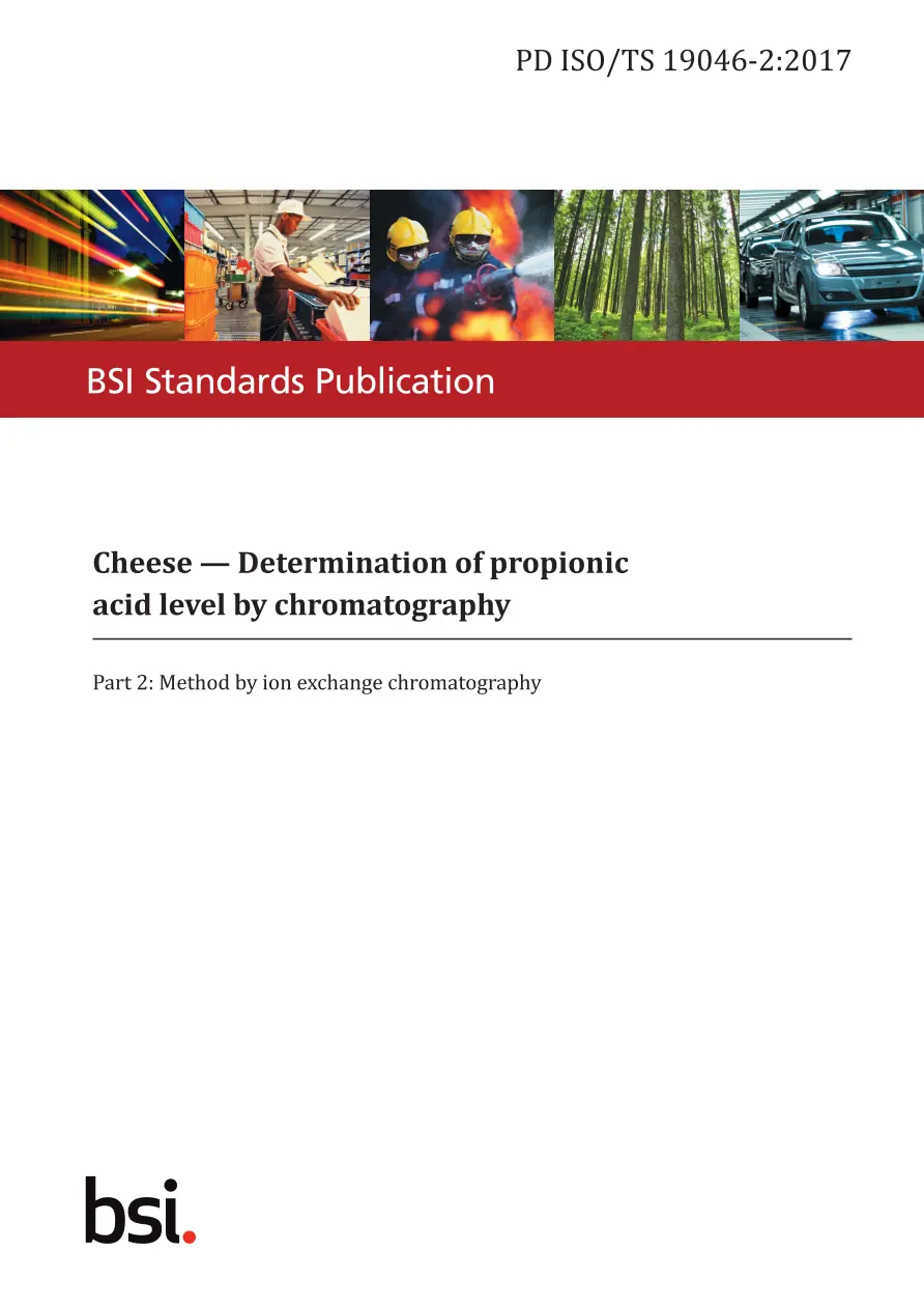 BS PD ISO/TS 19046-2:2017