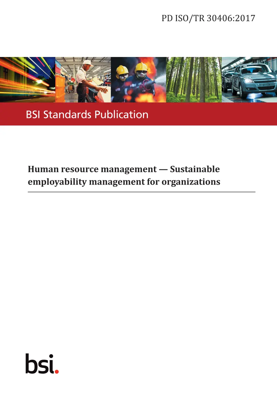 BS PD ISO/TR 30406:2017