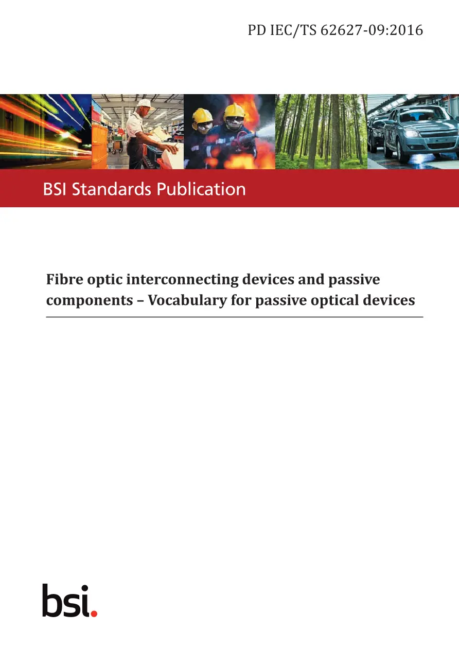 BS PD IEC/TS 62627-09:2016