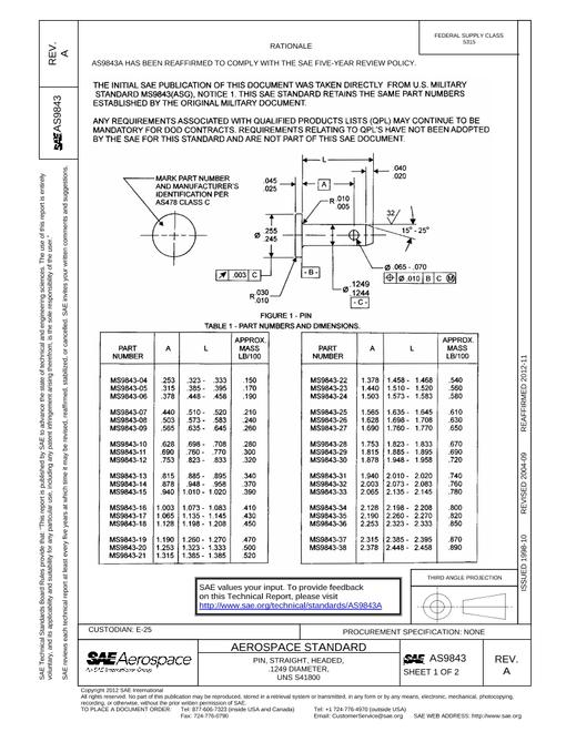 SAE AS9843A