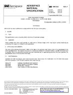SAE AMS5333F