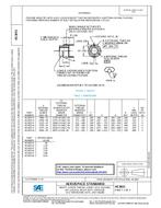 SAE AS3651