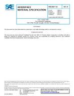 SAE AMS3892/10B