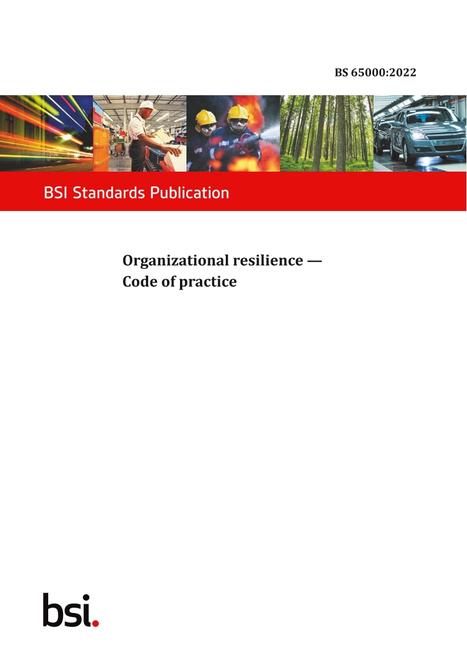 BS 65000:2022