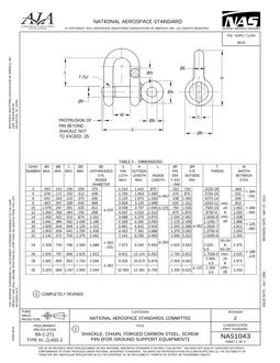 AIA NAS1043