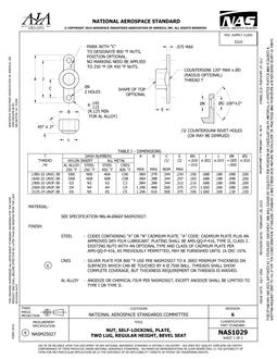 AIA NAS1029-2024