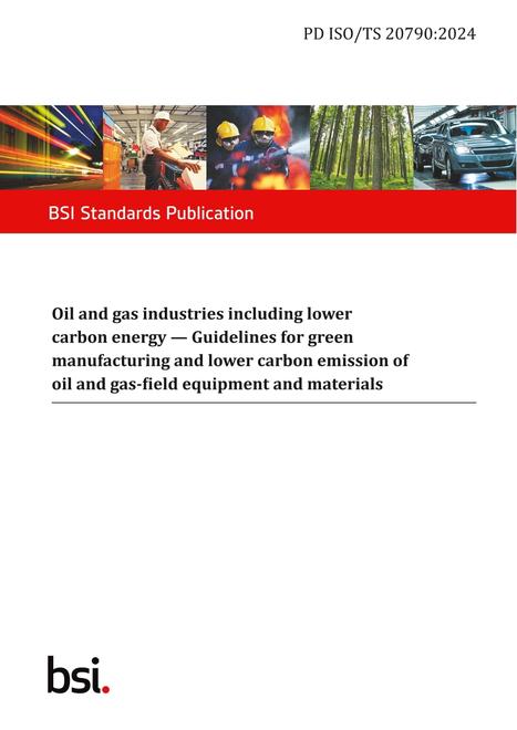 BS PD ISO/TS 20790:2024