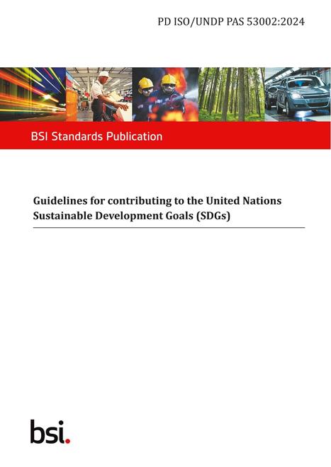 BS PD ISO/UNDP PAS 53002:2024